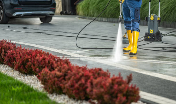 Best Roof Washing  in Augusta, WI